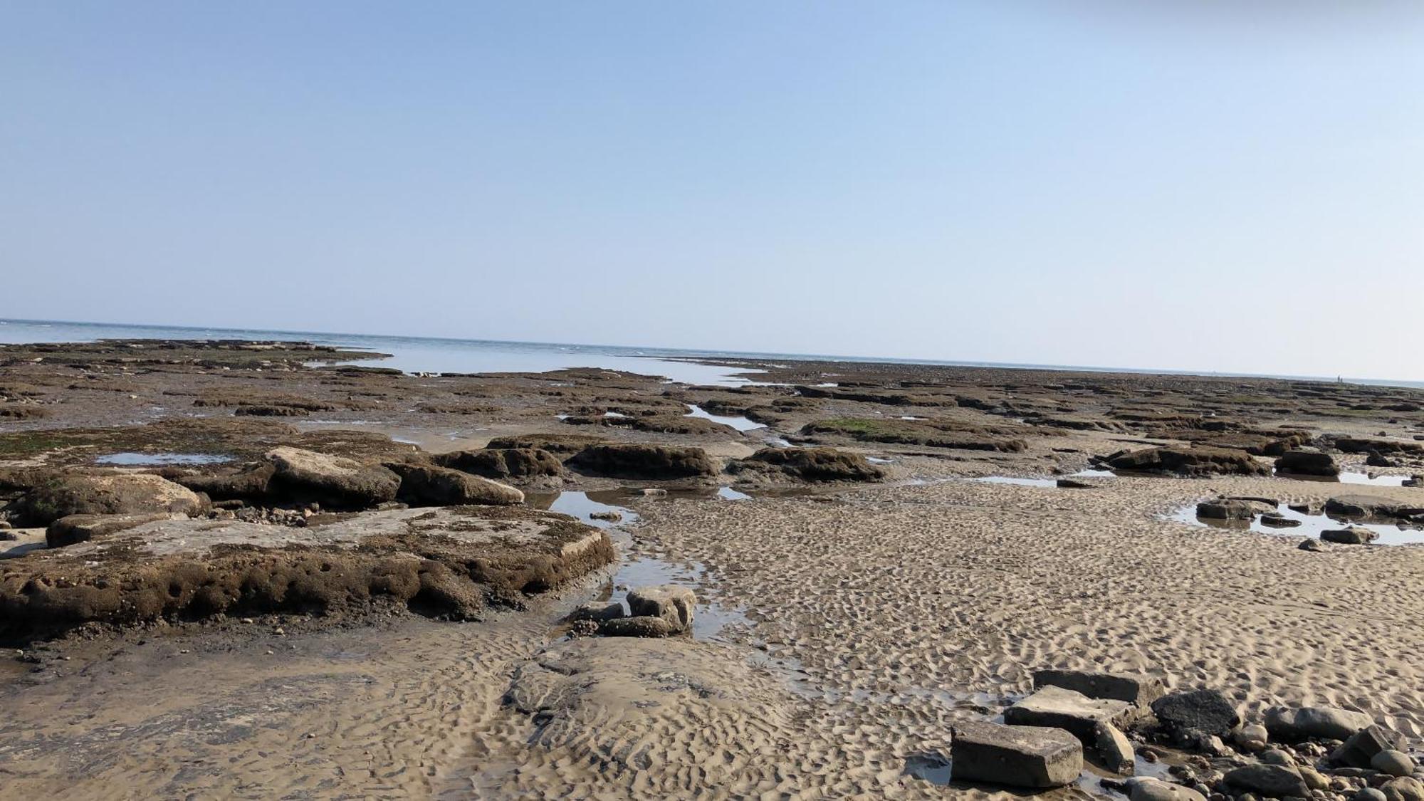 Billie'S Seaside Retreat Villa Lyme Regis Bagian luar foto